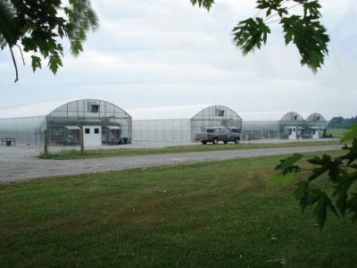 Picture of Greenhouses at Crossville